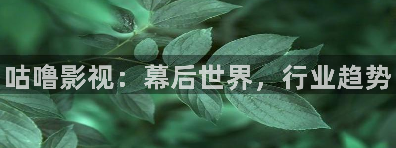 九七电影院免费观看：咕噜影视：幕后世界，行业趋势