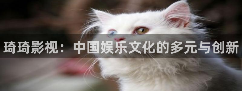 超碰九七在线观看：琦琦影视：中国娱乐文化的多元与创新