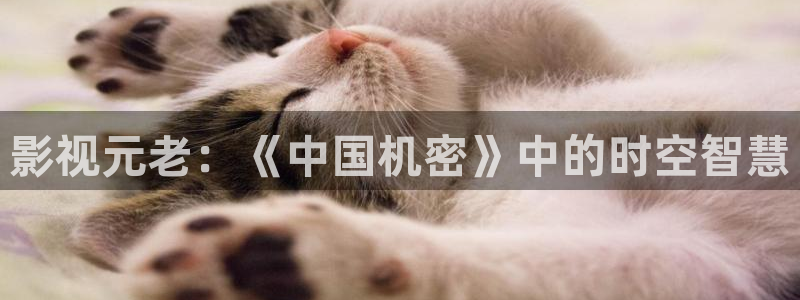 九七电影免费观看高清：影视元老：《中国机密》中的时空智慧