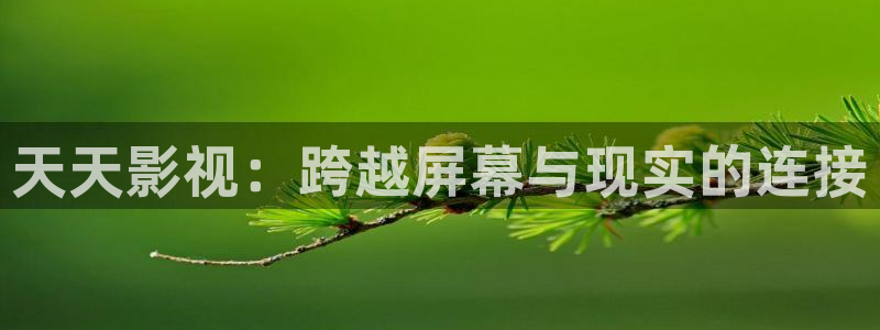 九七理论电影院：天天影视：跨越屏幕与现实的连接
